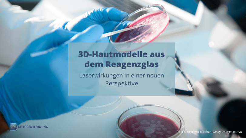3D-Hautmodelle aus dem Reagenzglas